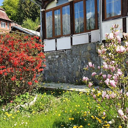 Vila Bradet Buşteni Exterior foto