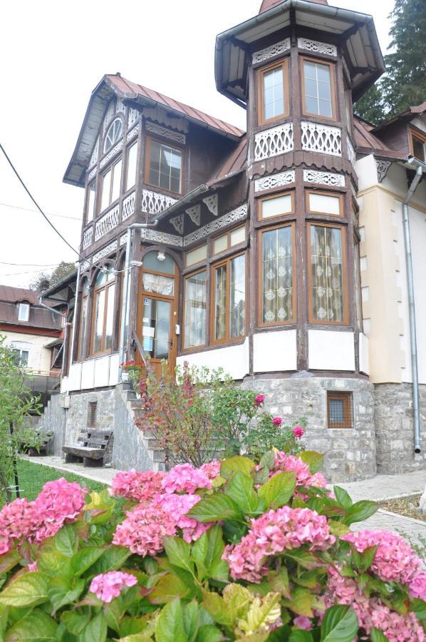 Vila Bradet Buşteni Exterior foto