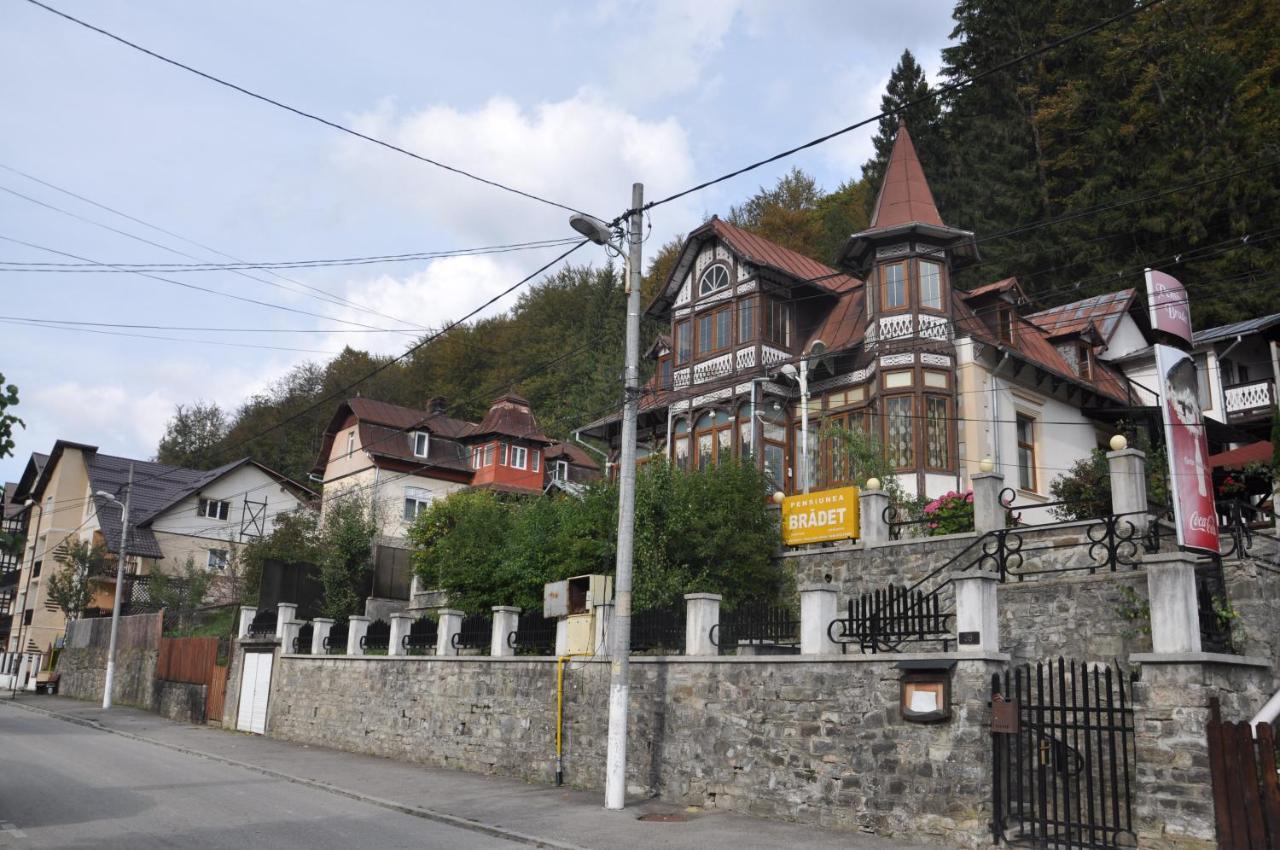 Vila Bradet Buşteni Exterior foto