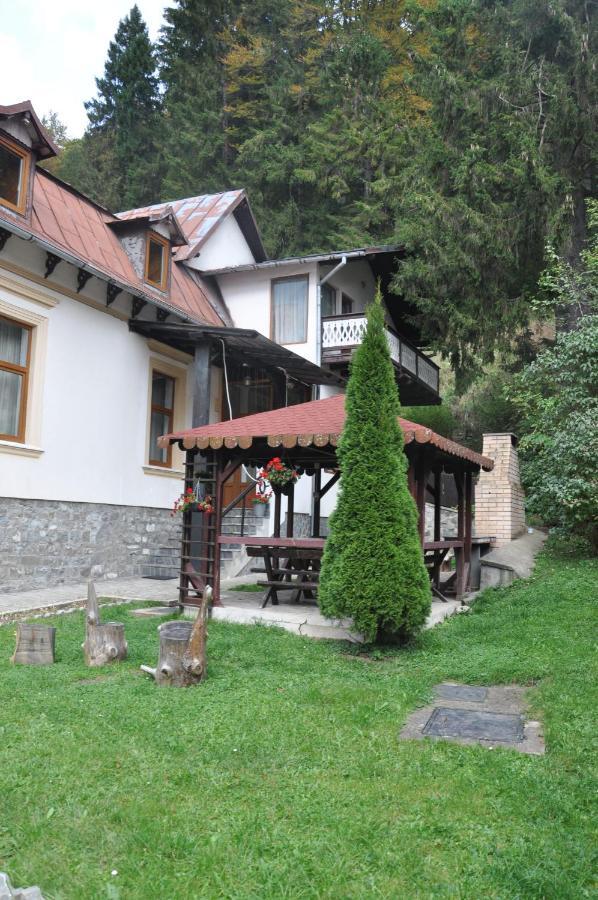 Vila Bradet Buşteni Exterior foto
