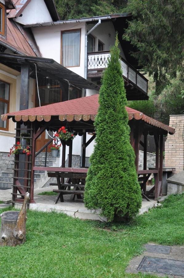 Vila Bradet Buşteni Exterior foto