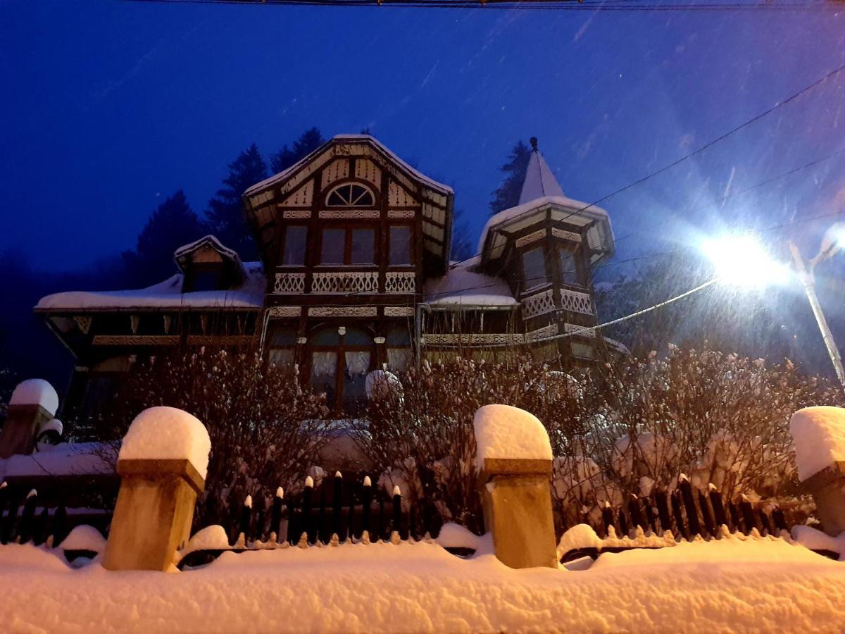 Vila Bradet Buşteni Exterior foto