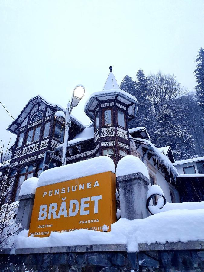 Vila Bradet Buşteni Exterior foto