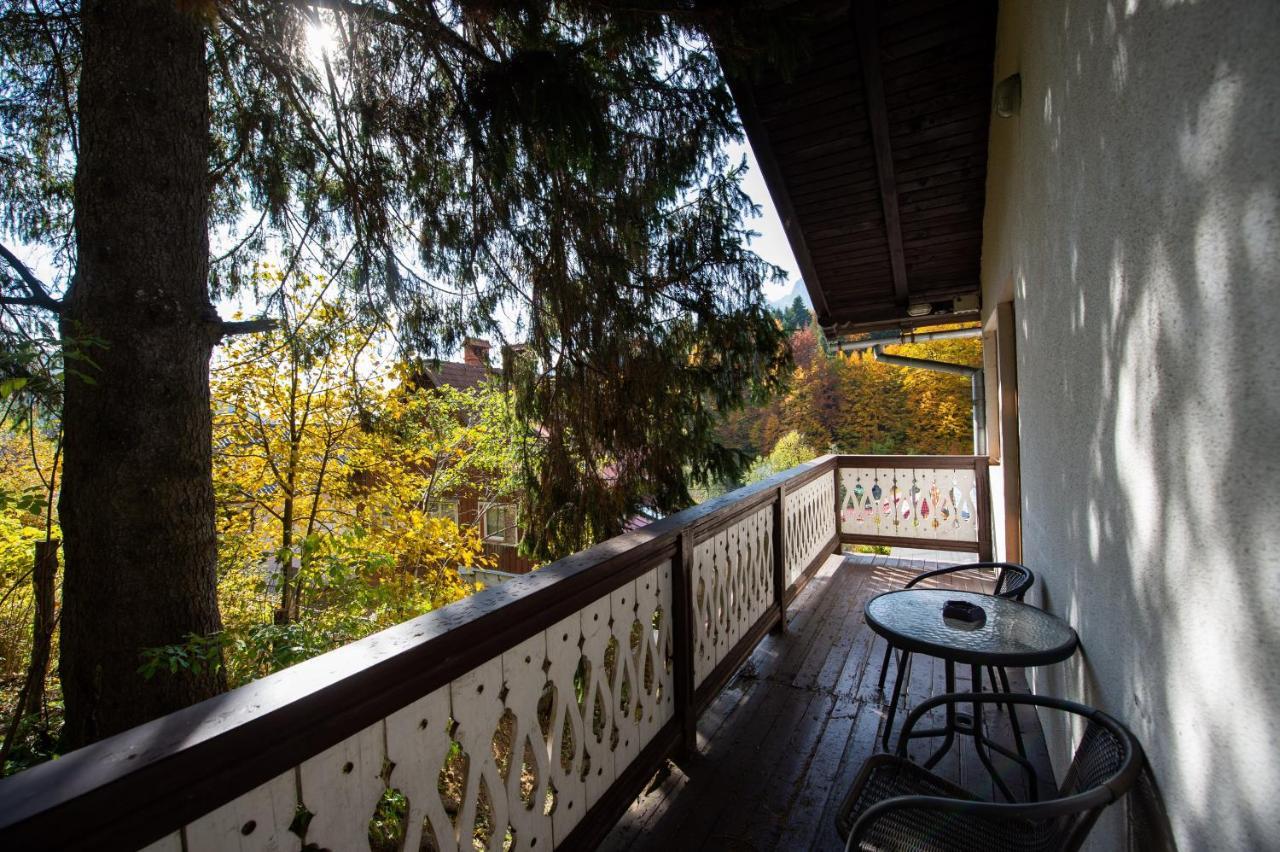 Vila Bradet Buşteni Exterior foto