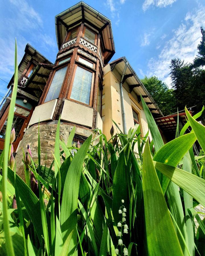 Vila Bradet Buşteni Exterior foto